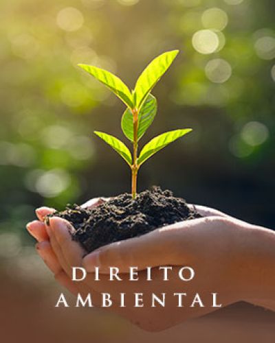 Direito Ambiental